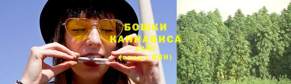 гидра Белоозёрский