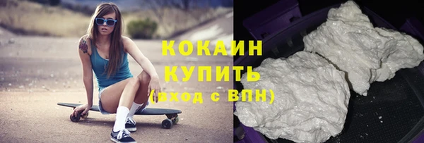 прущие грибы Белокуриха