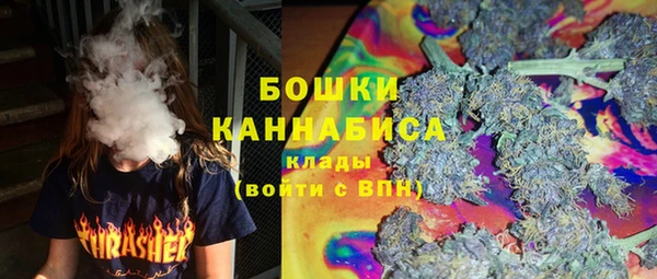 гидра Белоозёрский