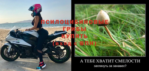 прущие крисы Баксан