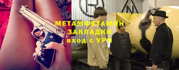 прущие грибы Белокуриха