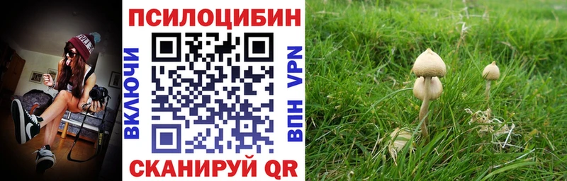 Галлюциногенные грибы Psilocybine cubensis  Волосово 